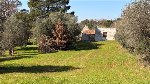 Corpo Di Trulli Con Fabbricati